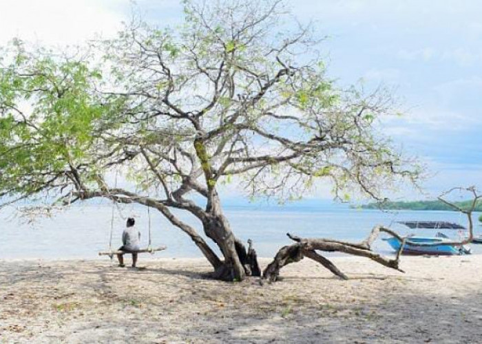 Pantai Bama, Permata Tenang di Ujung Baluran