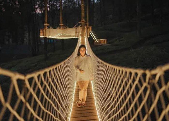 Golden Bridge Limpakuwus, Daya Tarik Wisata Malam Bernuansa Hangat di Banyumas
