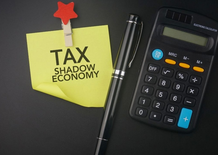 Pemerintah Bidik Pajak dari ‘Shadow Economy’ Mulai 2026
