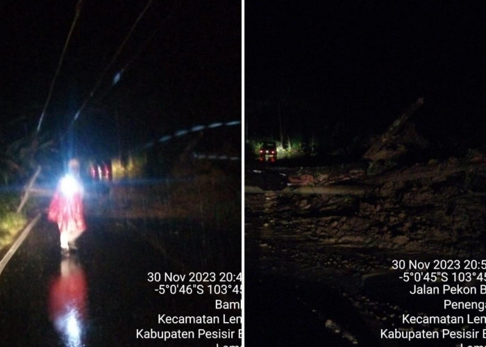 Tanah Longsor Tutup Badan Jalan, Sebabkan Kemacetan di Ruas Jalinbar Lampung-Bengkulu
