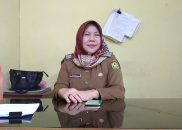 Dinsos Bandar Lampung akan Jalin Kerja Sama dengan Provinsi Tangani ODGJ