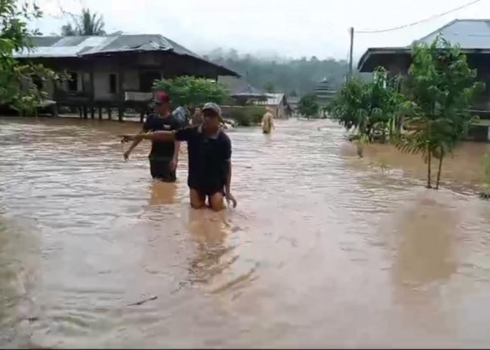 Sempat Surut, Banjir Kembali Merendam Puluhan Rumah di Bumi Hantatai 