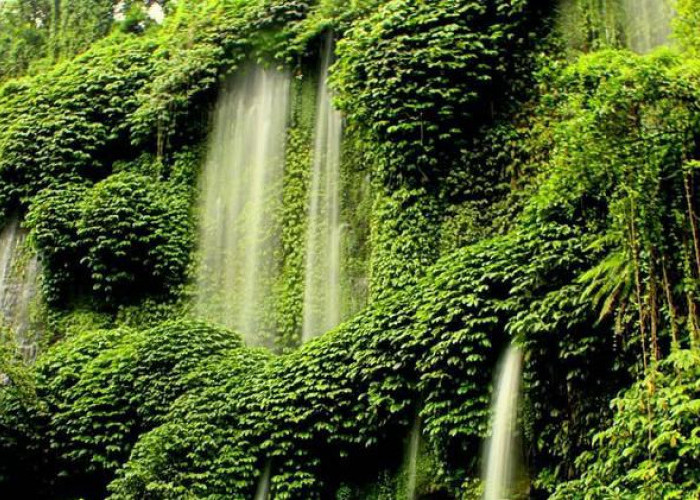 Air Terjun Benang Kelambu, Pesona Tirai Alam dan Legenda Dewi Anjani di Lombok