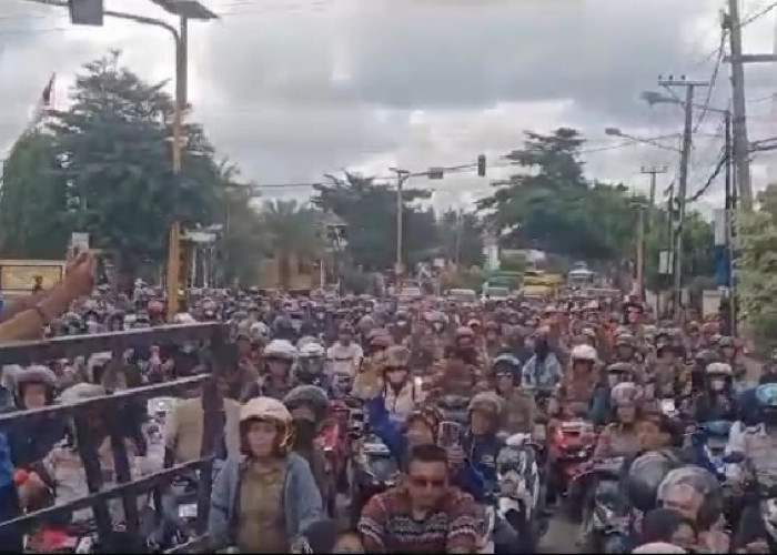 Ribuan Tenaga Honorer di Lampung Utara Gelar Aksi Damai, Tuntut Perhatian Pemerintah