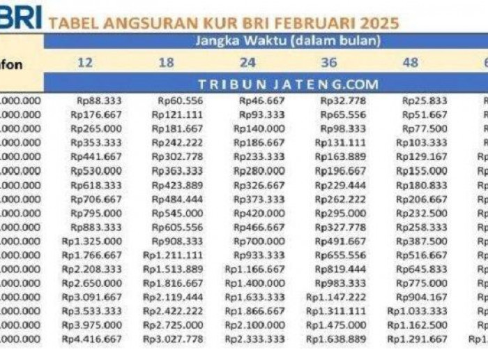 KUR BRI 2025 Resmi Dibuka, Pinjaman Mulai Rp1 Juta dengan Cicilan Mulai Rp21 Ribu
