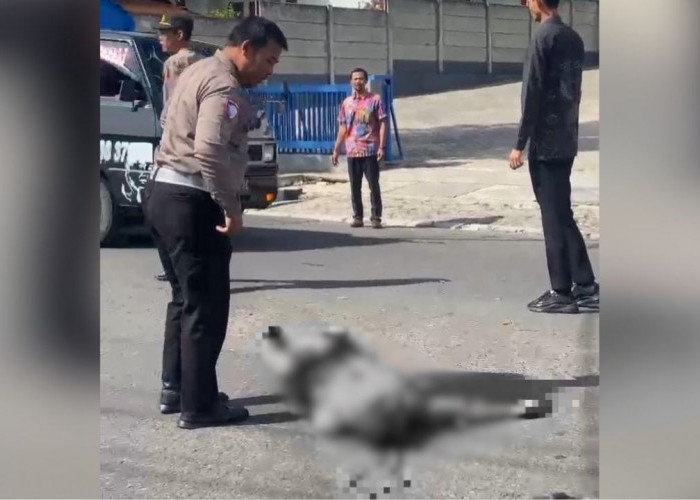 Pengendara Motor Terjatuh Bersimbah Darah, Polisi Selidiki Penyebab Laka di Pasar Liwa