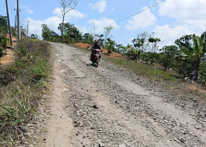 Warga Atar Bawang Nantikan Perbaikan Kerusakan Jalan Way Ngison-Waspada
