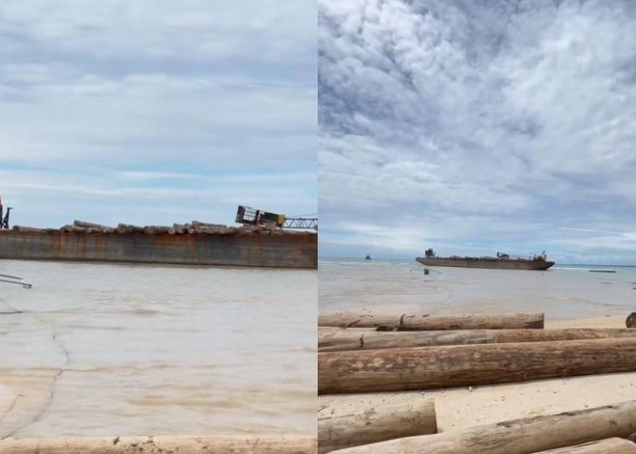 Kapal Tongkang Bermuatan Ribuan Kubik Kayu Terdampar di Pesisir Barat