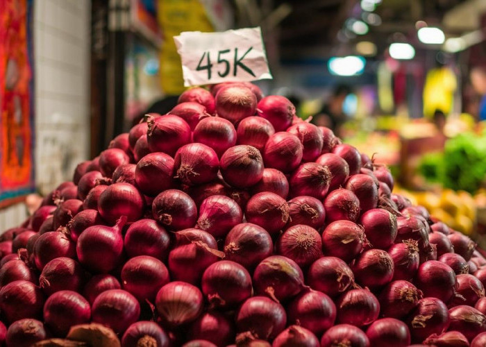 Sempat Melonjak, Harga Bawang di Lampung Barat Berangsur Turun 