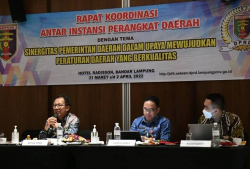 Mingrum Gumay Paparkan Materi Sinergitas Pemda