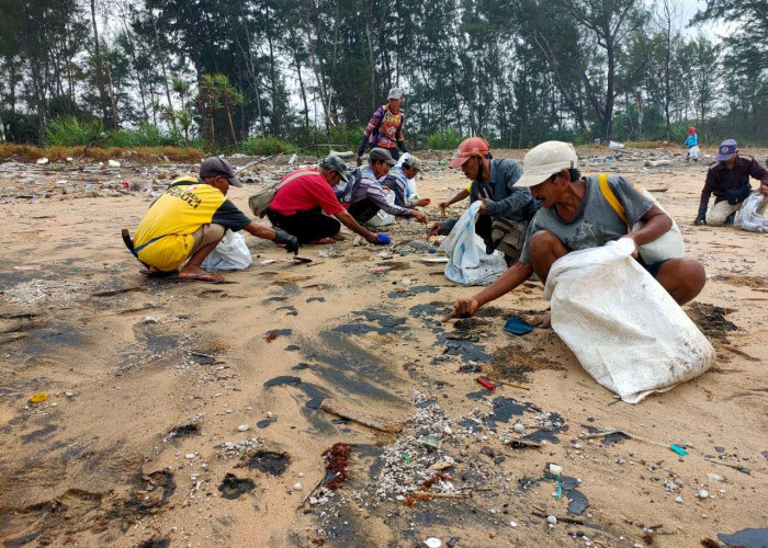 Perairan Bangkunat Tercemar Minyak Mentah, TWNC dan Warga Bersihkan Pinggiran Pantai