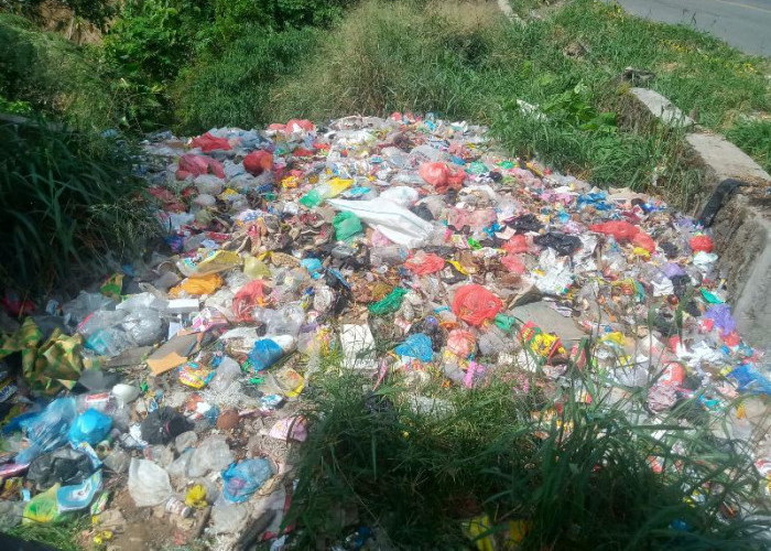 Tumpukan Sampah di Jantung Pekon Kota Besi Terkesan Diabaikan 