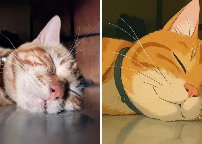 Cara Mudah Ubah Gaya Foto Lewat Chat Perplexity AI di WhatsApp