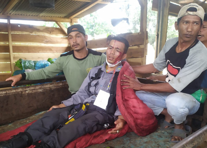 Kawal Pengantaran Logistik Pemilu, Linmas TPS di Pekon Puramekar Alami Lakalantas