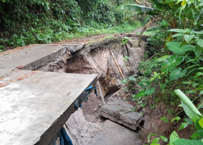 Pemkab Lambar Ingkar Janji Soal Penanganan  Kerusakan Jalan Turgak-Sukaraja