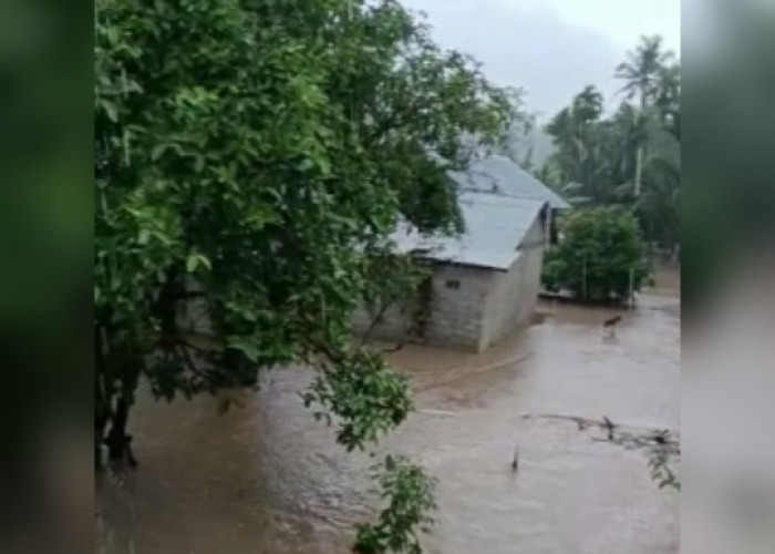 Way Balau Meluap, Sejumlah Rumah Terendam Banjir