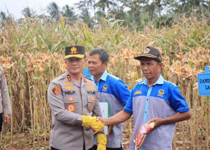 Dukung Ketahanan Pangan, Polda Lampung Dorong Produksi Jagung