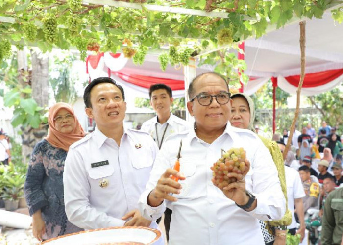 Pj Gubernur Samsudin Dukung Pringsewu Jadi Kota Anggur, Upaya Tingkatkan Identitas dan Komoditas Daerah