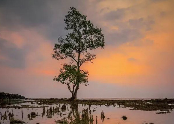 8 Destinasi Wisata Menarik Sepanjang Perjalanan ke Jawa Timur
