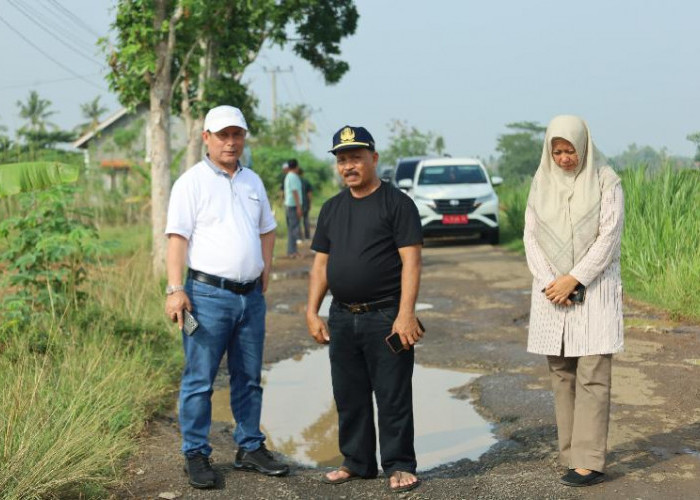 Pjs. Bupati Lampung Timur Tinjau Jalan Adijaya, Upayakan Perbaikan Infrastruktur Secara Bertahap