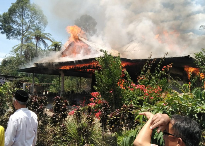 Diduga Korsleting Listrik, Satu Rumah di Pekon Way Empulau Ulu Ludes Terbakar 