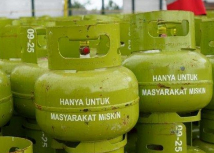 Jumlah Kuota LPG 3 Kg di Lampung Alami Kenaikan 2,1 Persen di Bandingkan Tahun Lalu 