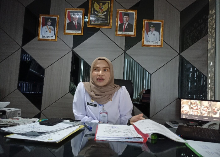 Bandar Lampung Masih Jadi Primadona Investor, Investasi Tembus Rp 744,6 Miliar