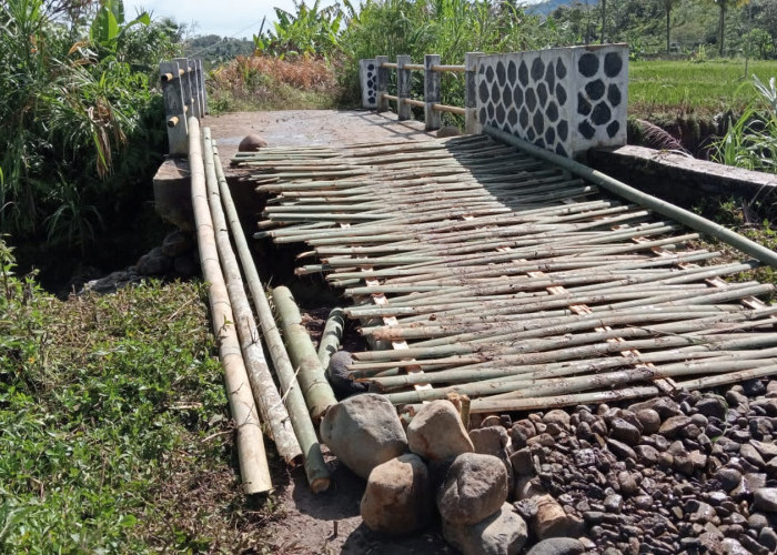 Faktor Alam Jadi Penyebab Rusaknya Jembatan Penghubung di Pekon Pahayu Jaya