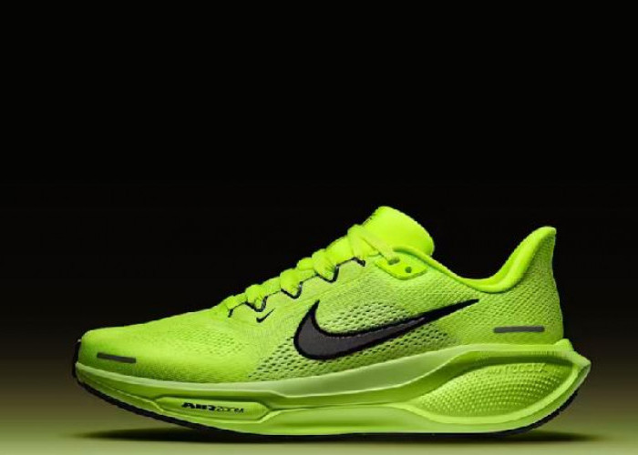 Lengkap! Daftar Harga Sepatu Nike Original Tahun 2026