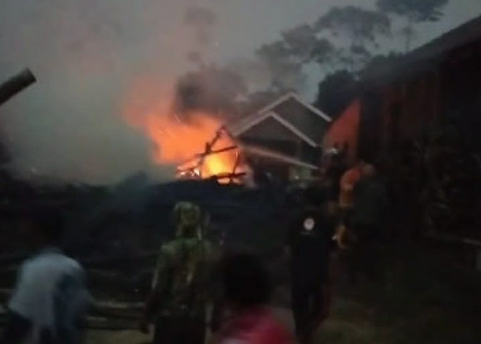 Diduga Akibat Korsleting Listrik, Rumah Kosong di Pekon Waspada Ludes Terbakar