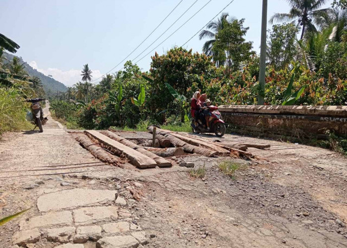 Penanganan Ruas Jalan Suka Marga-Tugu Ratu, Pemkab Lampung Barat Usulkan Rp20 Miliar dari Dana Inpres 