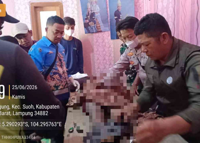 Buruh Tani Tewas Diduga Diserang Gajah Liar di Kawasan TNBBS Suoh