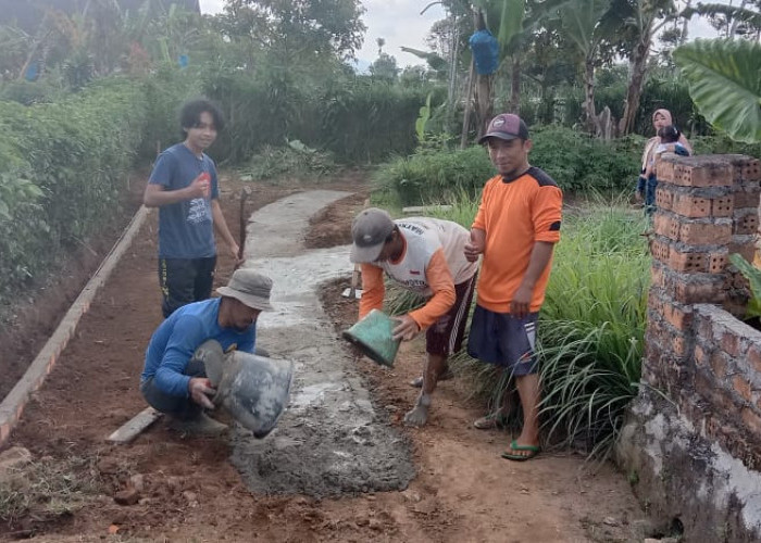 Belum Dilirik Dankel, Warga Kelurahan Sekincau Inisiatif Bangun Jalan Secara Swadaya