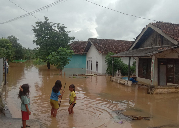 Ratusan Rumah di Lampung Utara Terdampak Banjir, Warga Harap Solusi dari Pemda