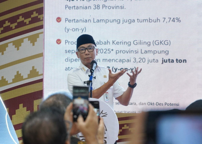 Hilirisasi Jadi Fokus, Pemprov Lampung Percepat Ekonomi Berbasis Kolaborasi