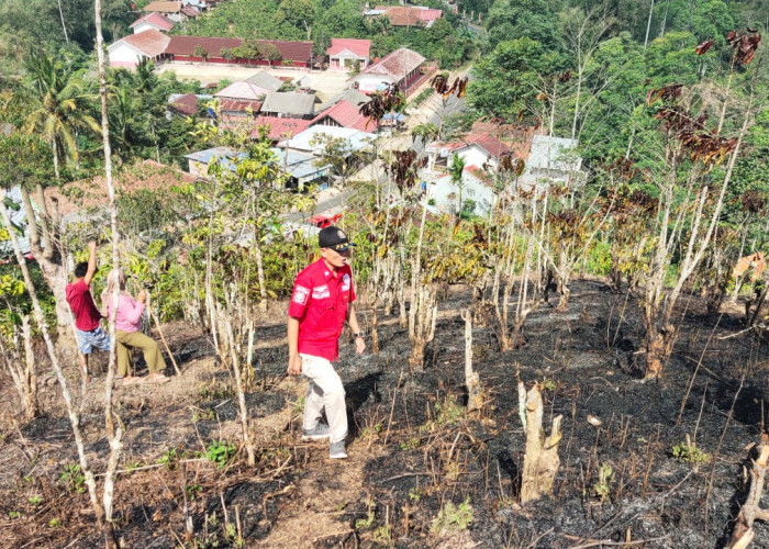 Petugas UPT Damkar Kenali Gerak Cepat Tangani Kebakaran Lahan di Pekon Luas
