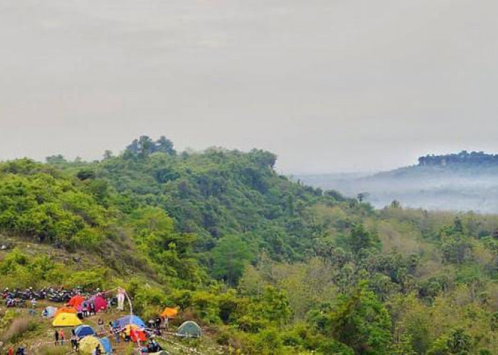Bukit Larangan Panceng, Menikmati Panorama Hijau dari Ketinggian Gresik