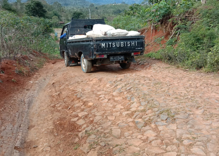 Warga Minta Jalan Poros ke Pekon Sukadamai dan Sukajadi Dibangun