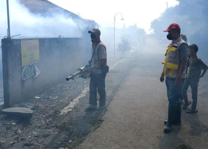 DBD Terus Mewabah, Puskesmas Sukau Lakukan Fogging di Pekon Tanjung Raya