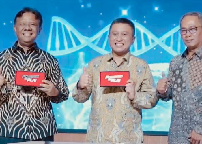 PLN Lampung Operasikan Puluhan Mobil Listrik, Perkuat Komitmen Transisi Energi Bersih