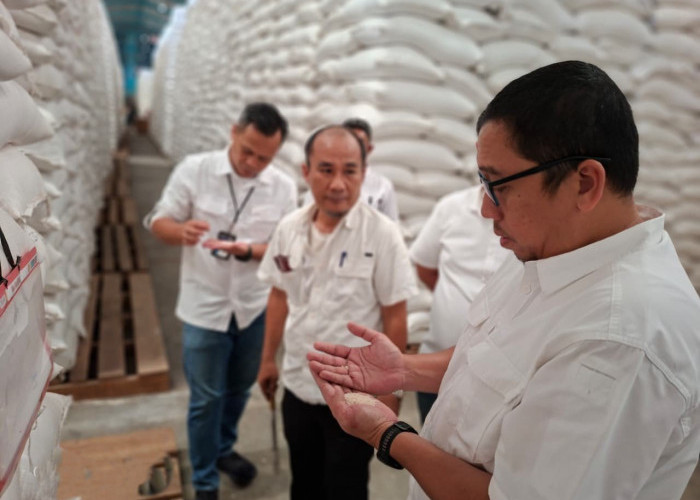 BULOG Lampung Perkuat Ketahanan Pangan Lewat Penyerapan Hasil Panen Petani