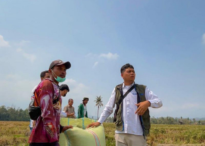 BULOG Lampung Serap 241 Ribu Ton Beras, Naik 19,13 Persen dari 2025