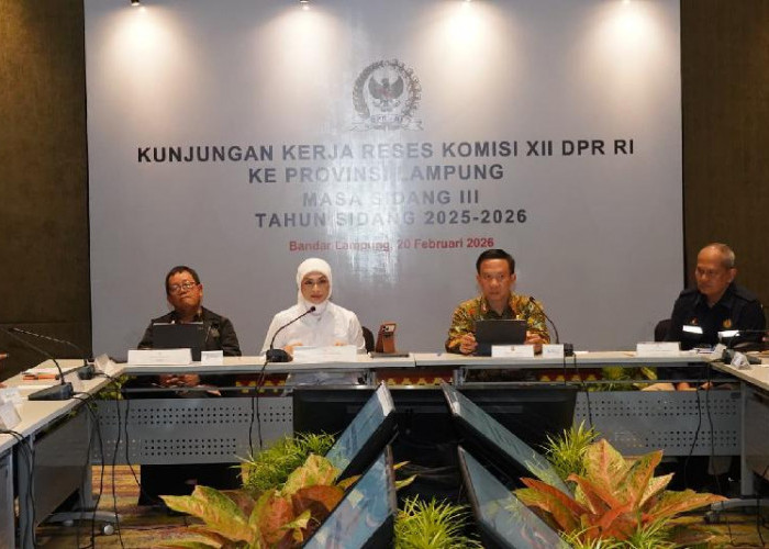 Potensi Migas Lampung Capai 830 Juta Barel, DPR RI Dorong Percepatan Eksplorasi