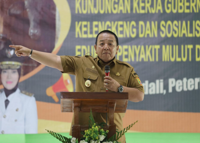 Gubernur Arinal Ajak Peternak dan Stakeholder Pertahankan Lampung Bebas PMK