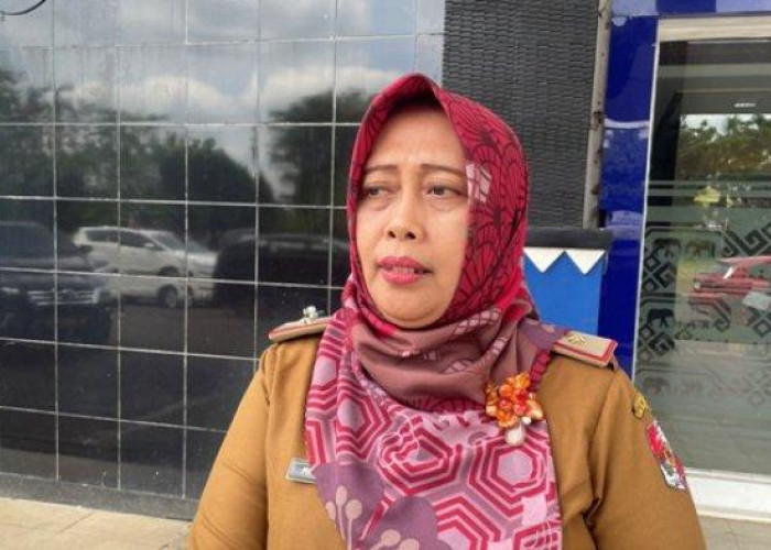 Belum Ada Kejelasan, Gaji PPPK Paruh Waktu dan Jaspel Nakes Lampung Utara Masih Tunggu Regulasi