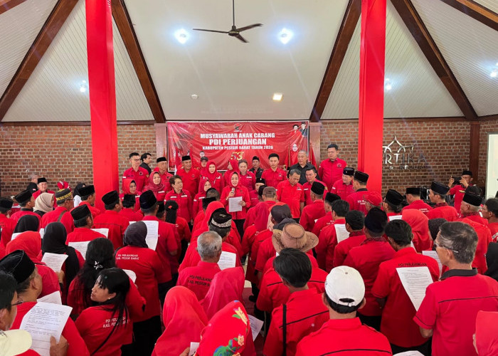 PDI Perjuangan Pesisir Barat Gelar Musancab, 11 PAC Resmi Dilantik