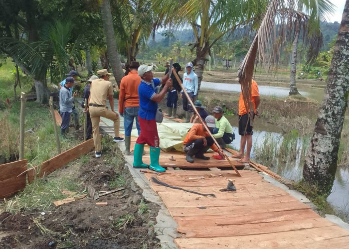 Swadaya Warga Buay Nyerupa Buka Akses Jalan Pertanian, Dorong Produktivitas Petani