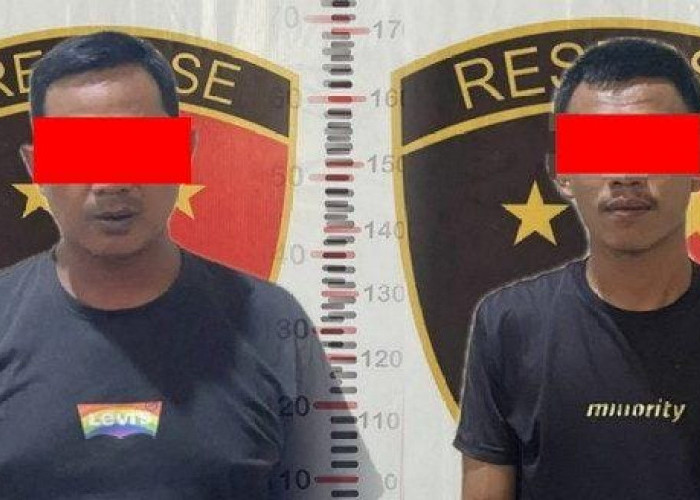 Nekat Jual Dua Sapi Milik Perusahaan, Dua Sopir Truk Dibekuk Polsek Panjang