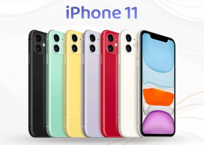 iPhone 11: Apakah Masih Layak Dibeli di Tahun 2024?