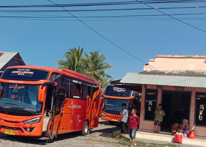 Loket Bus Krui-Jakarta Belum Ada Lonjakan Penumpang, Puncak Arus Balik Diprediksi Besok
